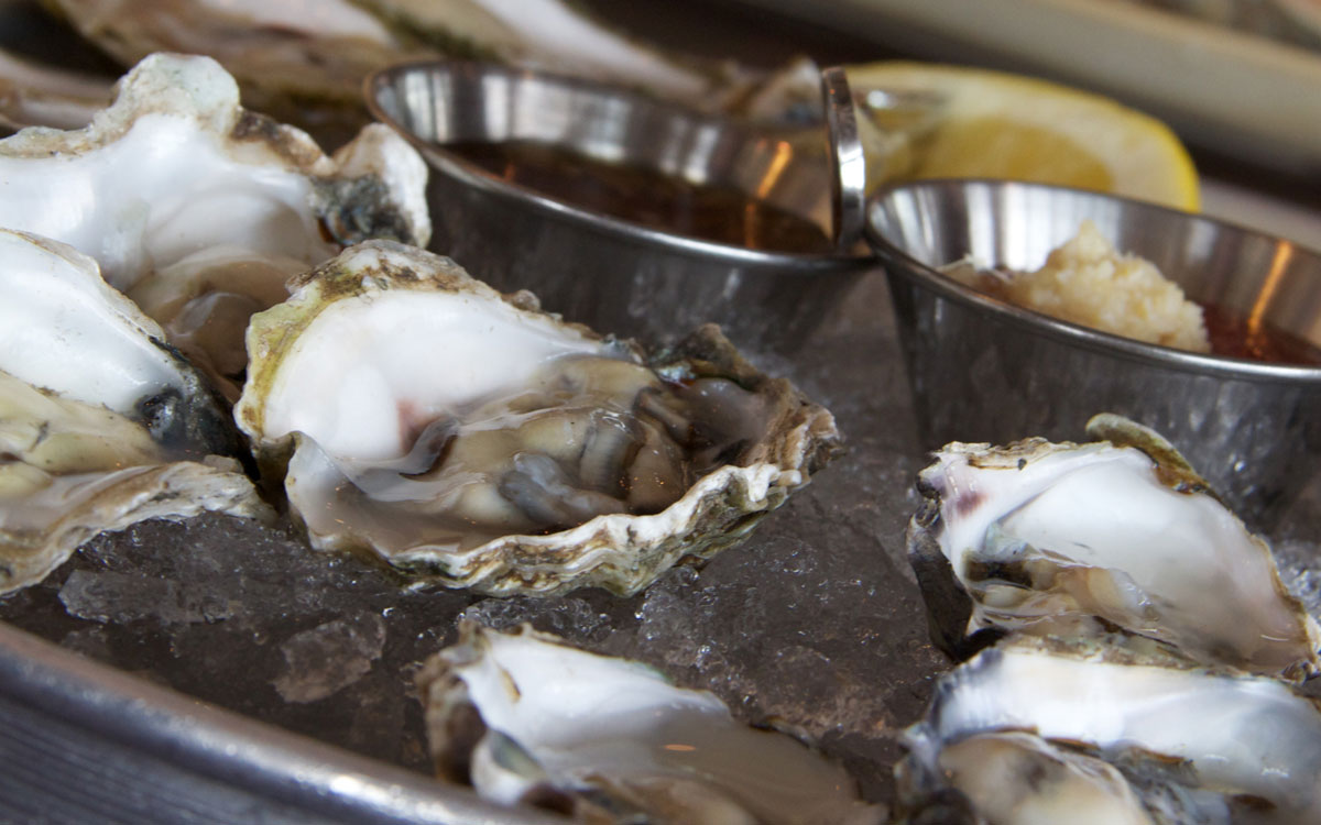 Oysters At Legal Sea Foods, A Growing Restaurant Concept With 36 Locations