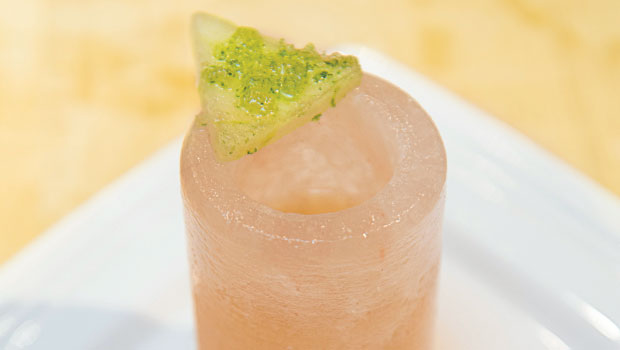 Salt Goes Gourmet - FSR magazine