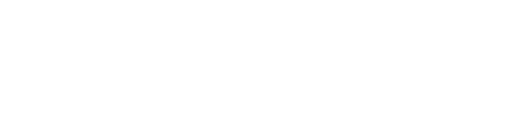 Arrowfly