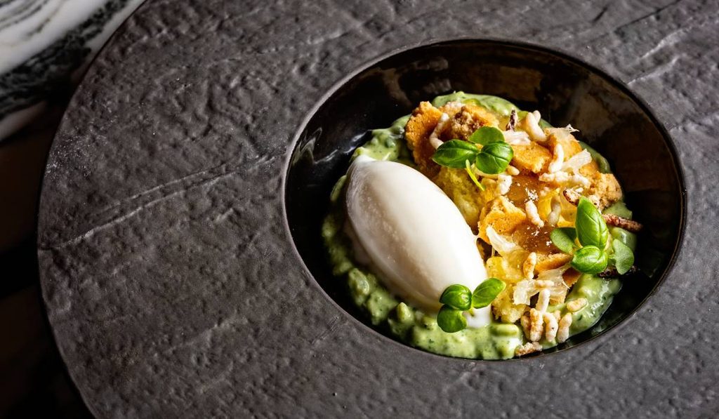 Top Chefs: Where Are They in 2026? 